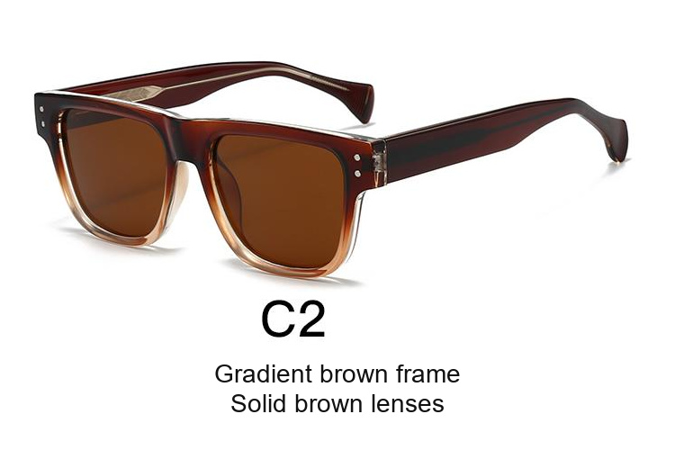 2061 — C2: Gradient brown frame / Solid brown lenses