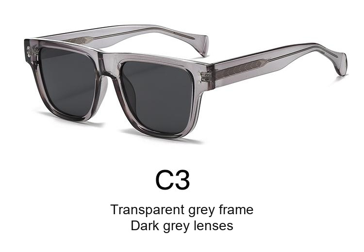 2061 — C3: Transparent grey frame / Dark grey lenses
