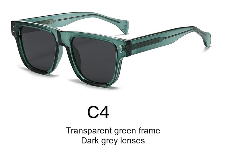 2061 — C4: Transparent green frame / Dark grey lenses