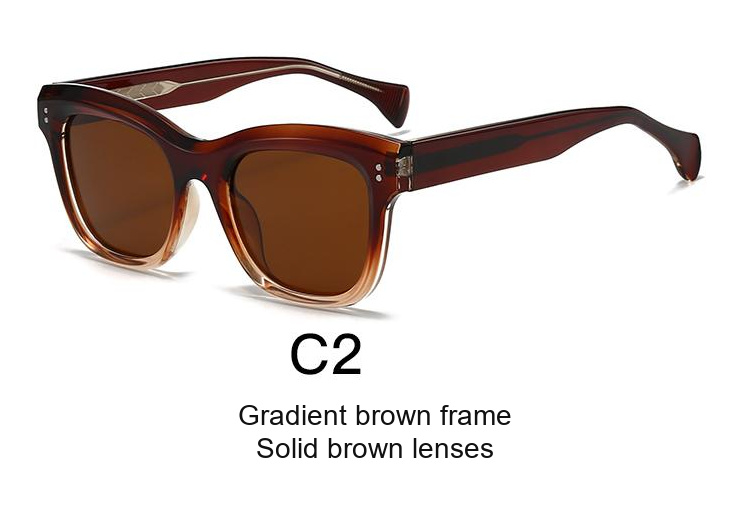 2062 — C2: Gradient brown frame / Solid brown lenses