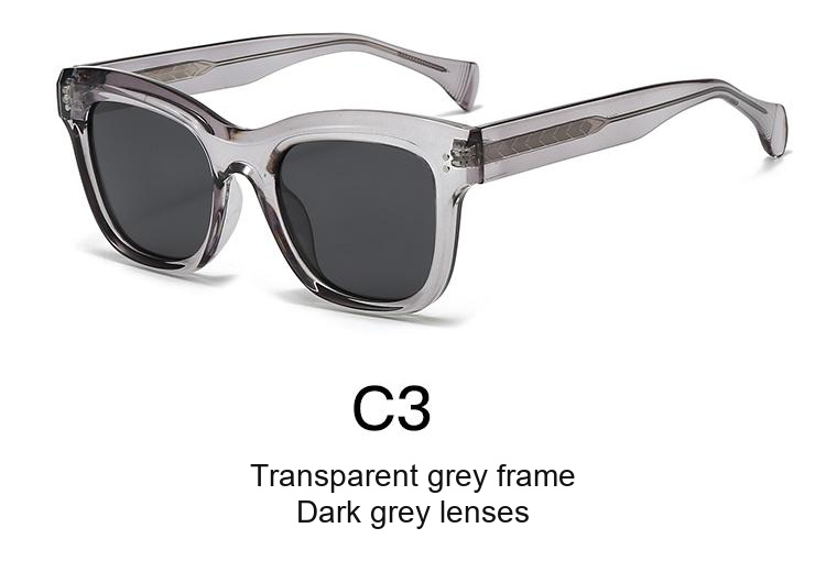 2062 — C3: Transparent grey frame / Dark grey lenses