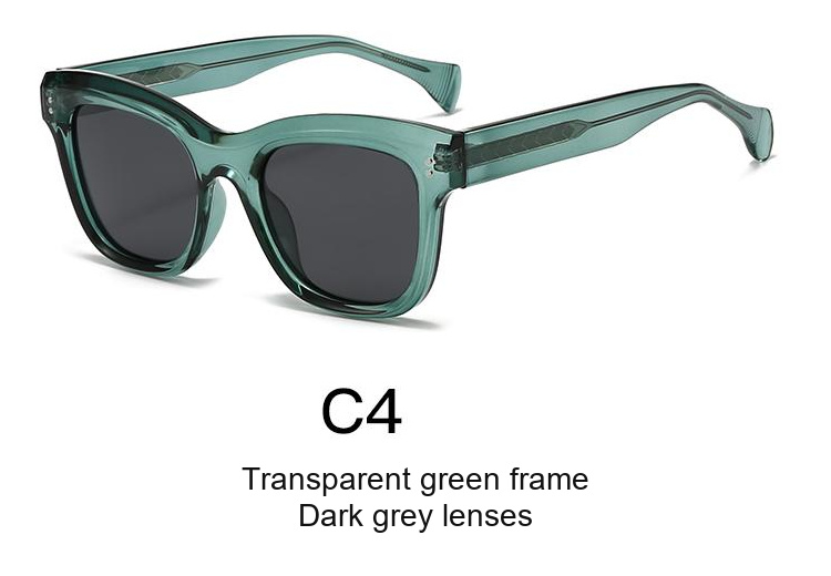 2062 — C4: Transparent green frame / Dark grey lenses