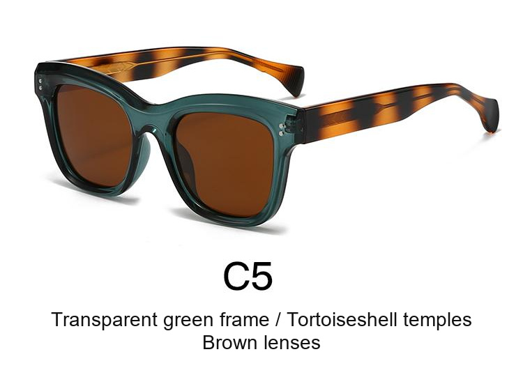 2062 — C5: Transparent green frame / Tortoiseshell temples / Brown lenses