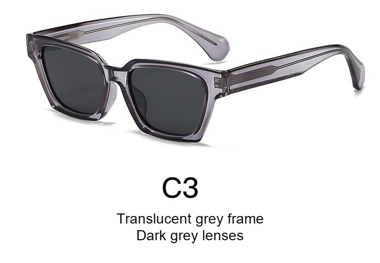 2065 — C3: Translucent grey frame / Dark grey lenses