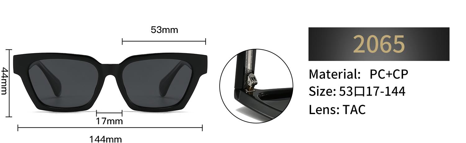 Polarized Rectangular Sunglasses – 2065 - Image 2