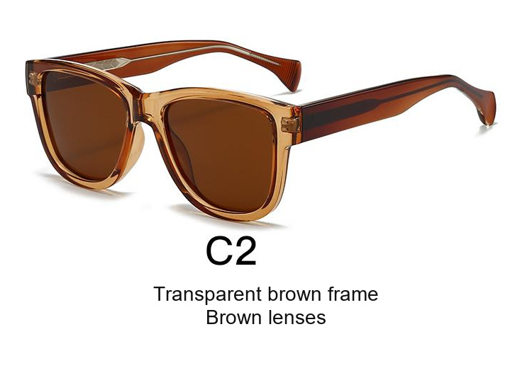 2069 — C2: Transparent brown frame / Brown lenses