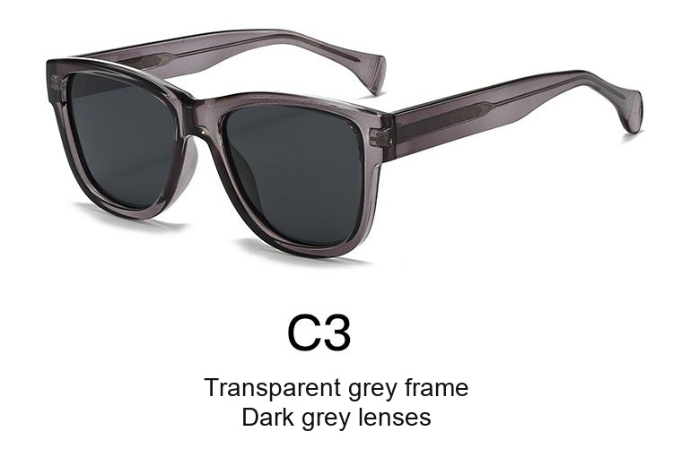 2069 — C3: Transparent grey frame / Dark grey lenses