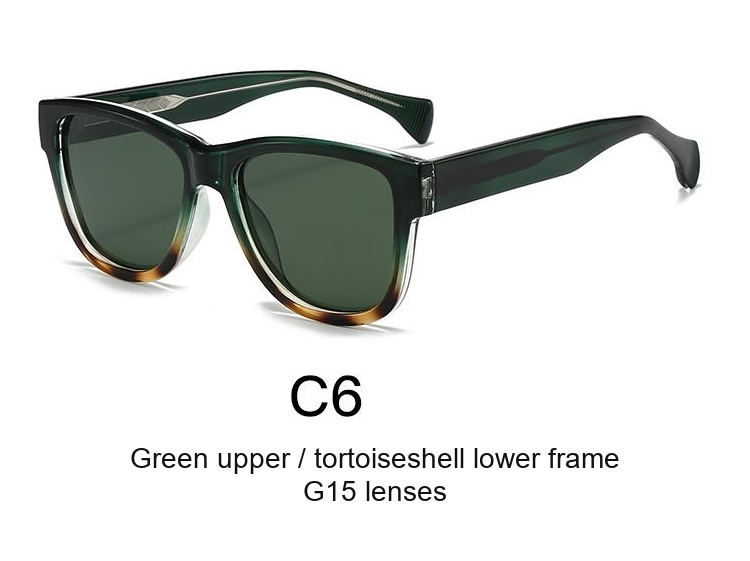 2069 — C6: Green upper / tortoiseshell lower frame / G15 lenses