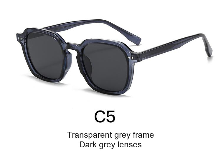 2071 — C5: Transparent grey frame / Dark grey lenses
