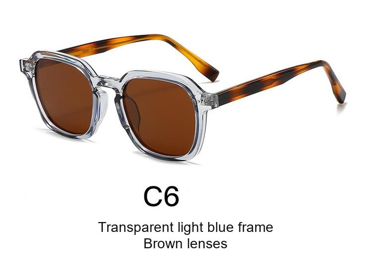 2071 — C6: Transparent light blue frame / Brown lenses