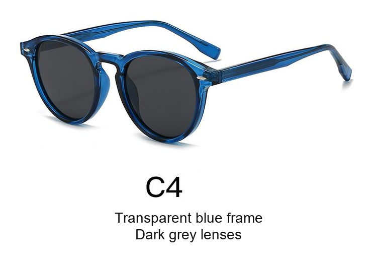 2073 — C4: Transparent blue frame / Dark grey lenses