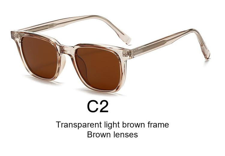 2076 — C2: Transparent light brown frame / Brown lenses