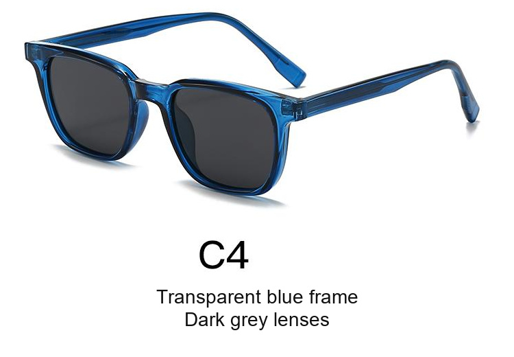 2076 — C4: Transparent blue frame / Dark grey lenses