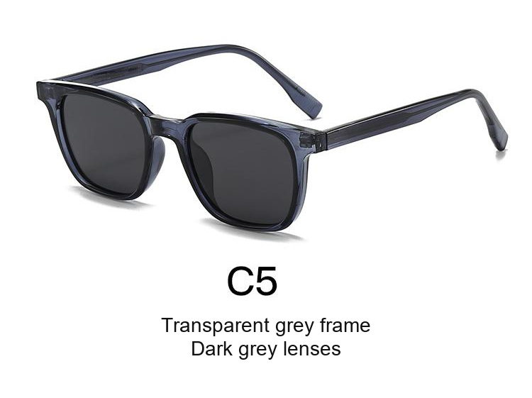 2076 — C5: Transparent grey frame / Dark grey lenses