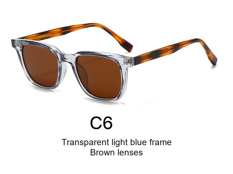 2076 — C6: Transparent light blue frame / Brown lenses