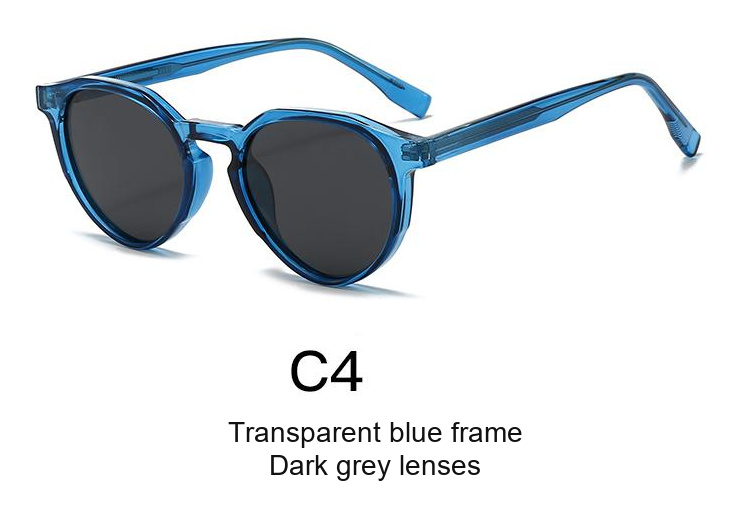 2077 — C4: Transparent blue frame / Dark grey lenses