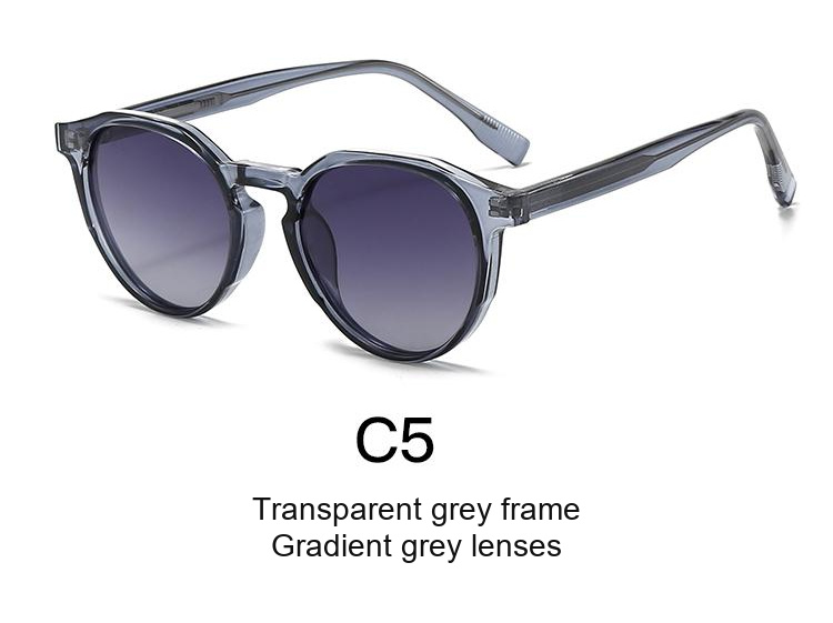 2077 — C5: Transparent grey frame / Gradient grey lenses