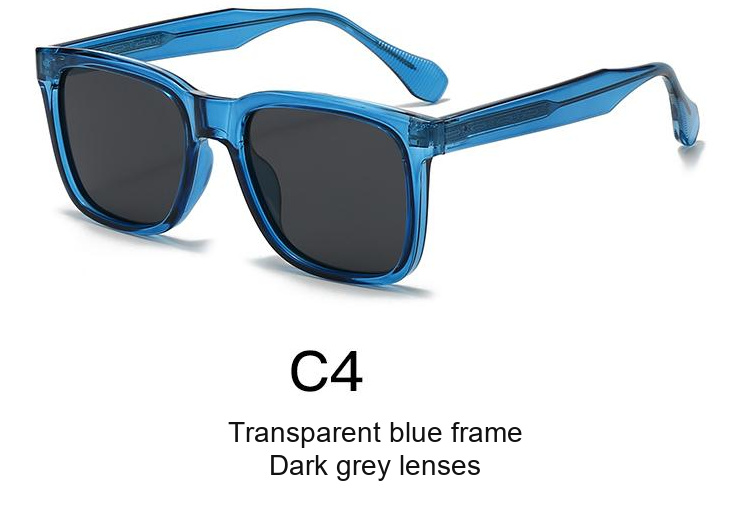 2078 — C4: Transparent blue frame / Dark grey lenses