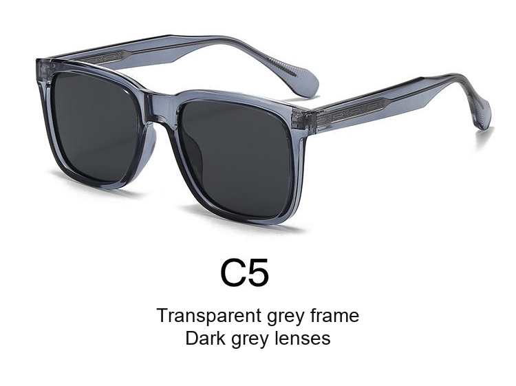 2078 — C5: Transparent grey frame / Dark grey lenses