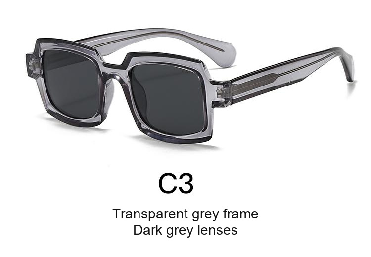 2079 — C3: Transparent grey frame / Dark grey lenses