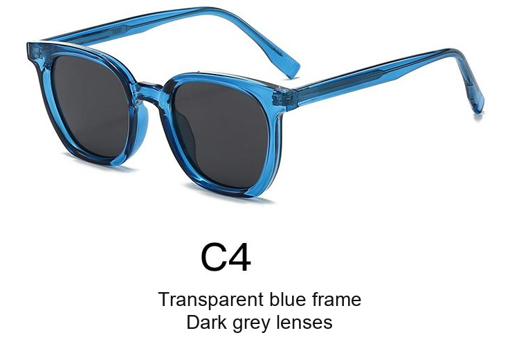 2081 — C4: Transparent blue frame / Dark grey lenses
