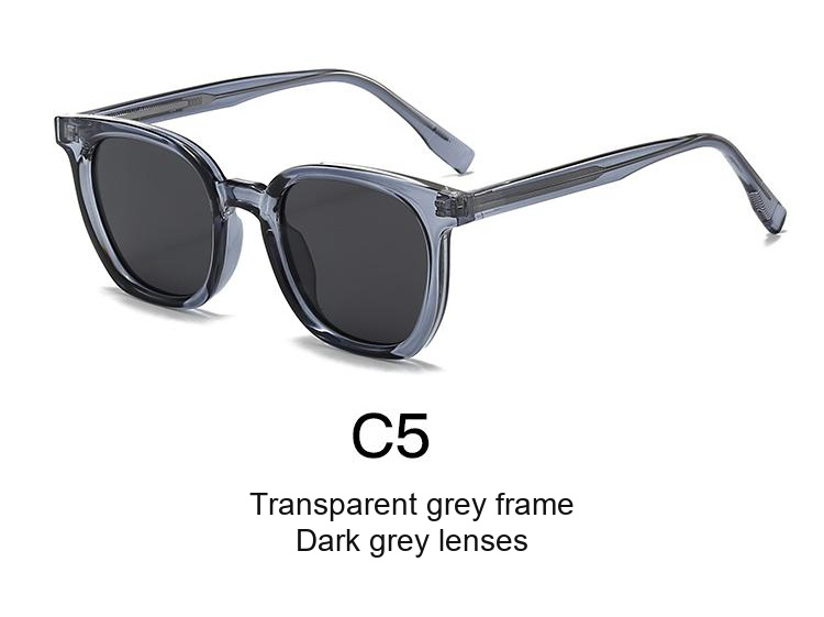 2081 — C5: Transparent grey frame / Dark grey lenses