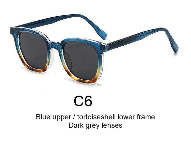 2081 — C6: Blue upper / tortoiseshell lower frame / Dark grey lenses