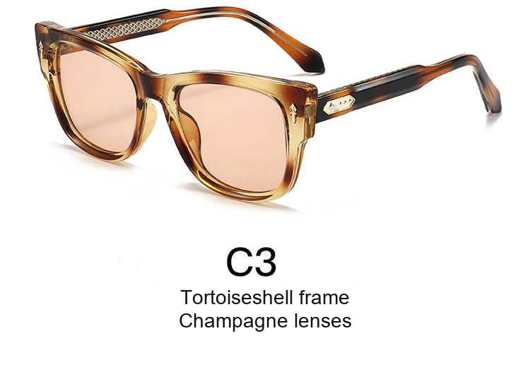 2335 — C3: Tortoiseshell frame / Champagne lenses