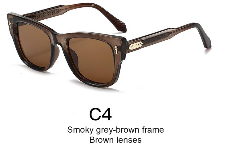 2335 — C4: Smoky grey-brown frame / Brown lenses