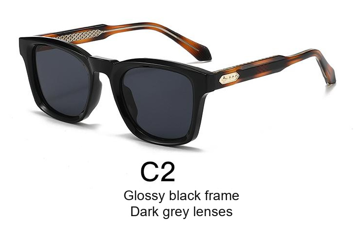 2338 — C2: Glossy black frame / Dark grey lenses