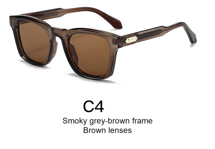 2338 — C4: Smoky grey-brown frame / Brown lenses