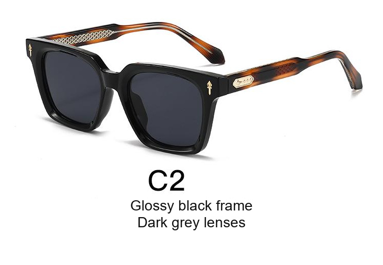 2339 — C2: Glossy black frame / Dark grey lenses