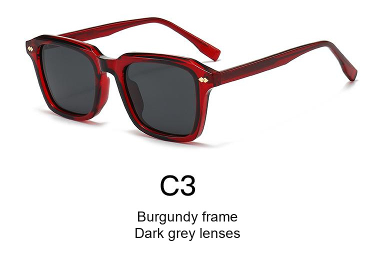 2340 — C3: Burgundy frame / Dark grey lenses