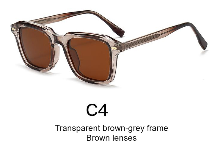 2340 — C4: Transparent brown-grey frame / Brown lenses