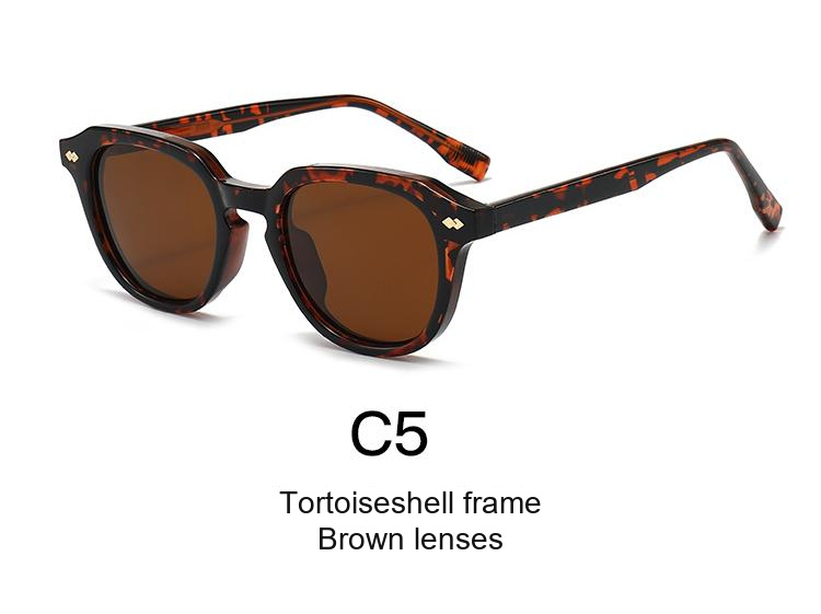 2341 — C5: Tortoiseshell frame / Brown lenses