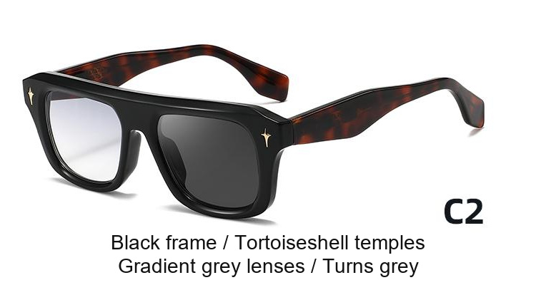 2342 — C2: Black frame / Tortoiseshell temples / Gradient grey lenses / darkens to Grey