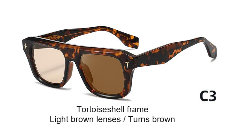 2342 — C3: Tortoiseshell frame / Light brown lenses / darkens to Brown