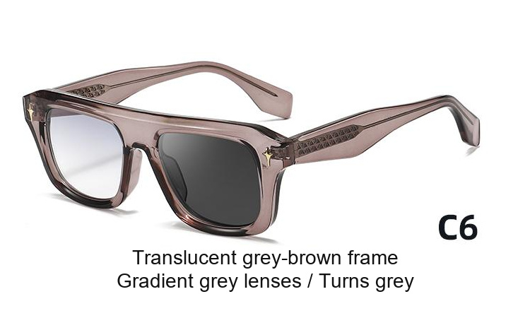 2342 — C6: Translucent grey-brown frame / Gradient grey lenses / darkens to Grey