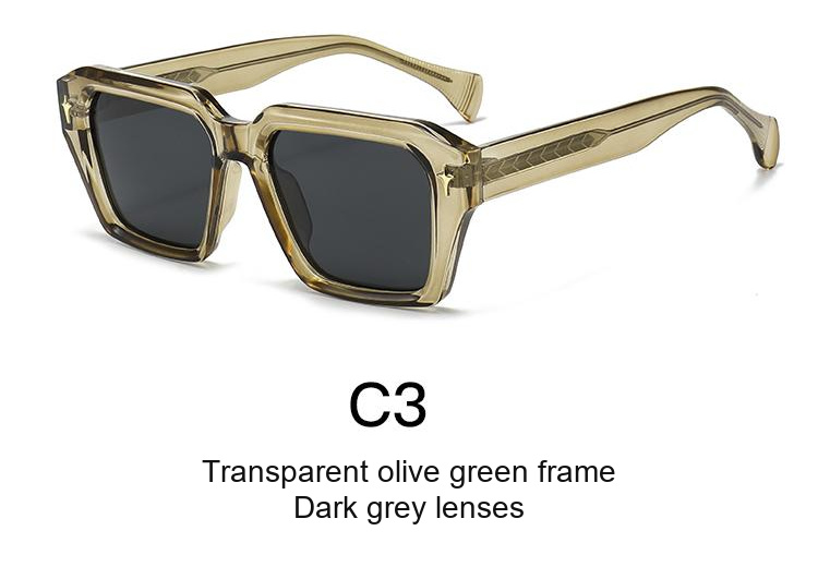 2343 — C3: Transparent olive green frame / Dark grey lenses