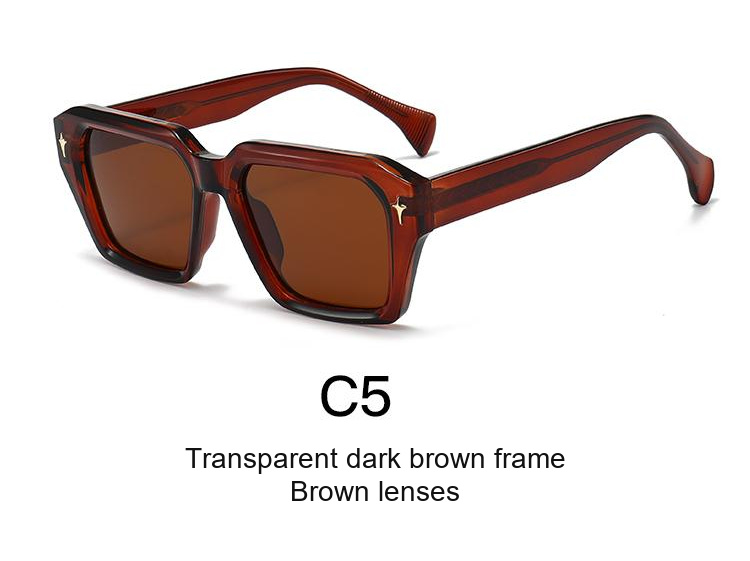 2343 — C5: Transparent dark brown frame / Brown lenses