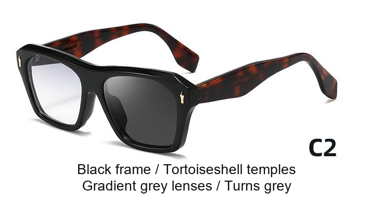 2344 — C2: Black frame / Tortoiseshell temples / Gradient grey lenses / darkens to Grey