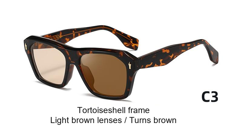 2344 — C3: Tortoiseshell frame / Light brown lenses / darkens to Brown