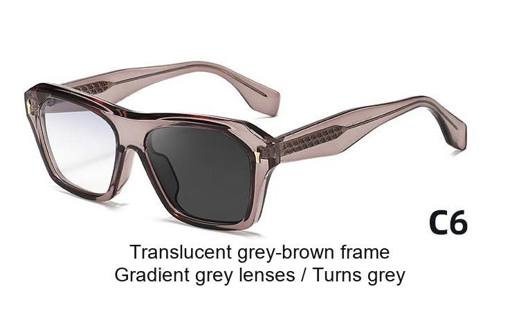 2344 — C6: Translucent grey-brown frame / Gradient grey lenses / darkens to Grey