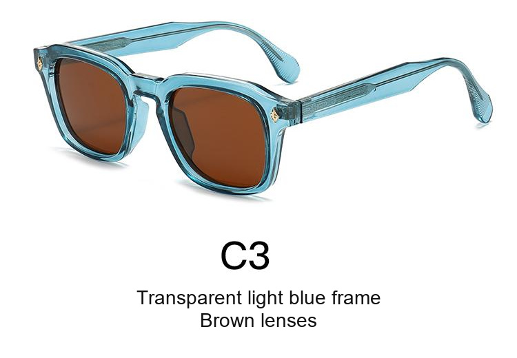 2347 — C3: Transparent light blue frame / Brown lenses