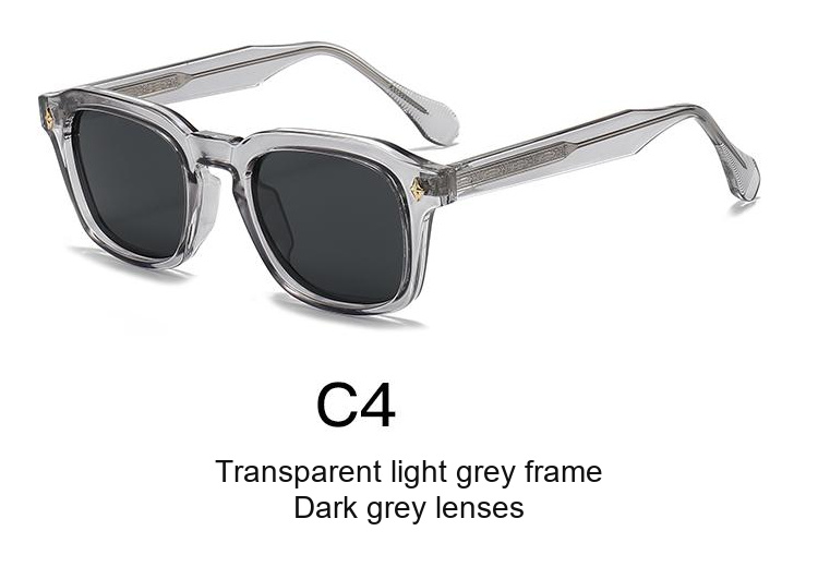 2347 — C4: Transparent light grey frame / Dark grey lenses