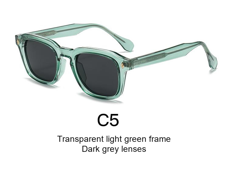 2347 — C5: Transparent light green frame / Dark grey lenses