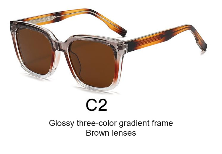 2348 — C2: Glossy three-color gradient frame / Brown lenses