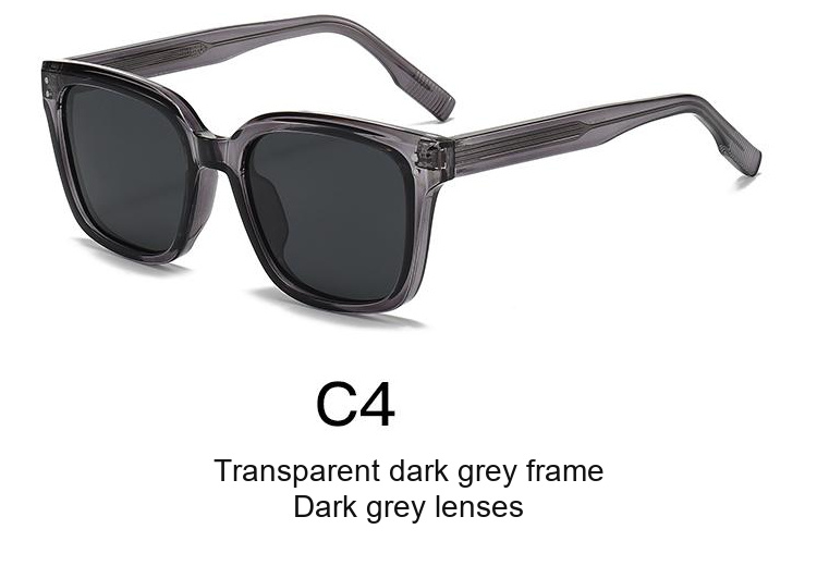 2348 — C4: Transparent dark grey frame / Dark grey lenses