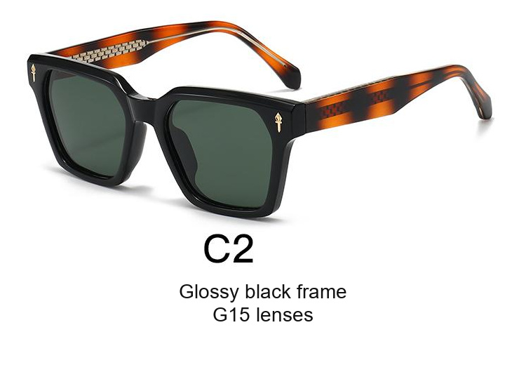 2349 — C2: Glossy black frame / G15 lenses