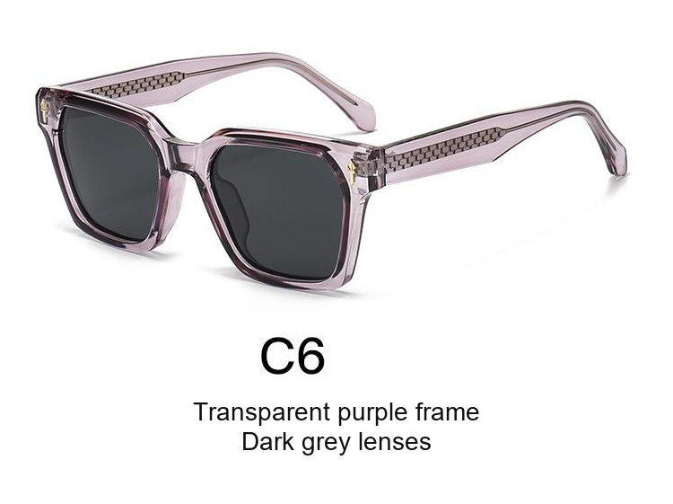 2349 — C6: Transparent purple frame / Dark grey lenses